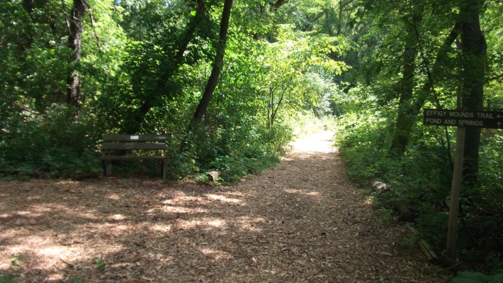 Nitschke Mounds Park - Trail