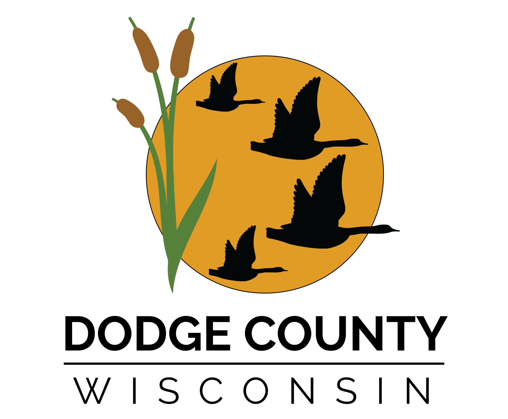DC Logo Small 150px