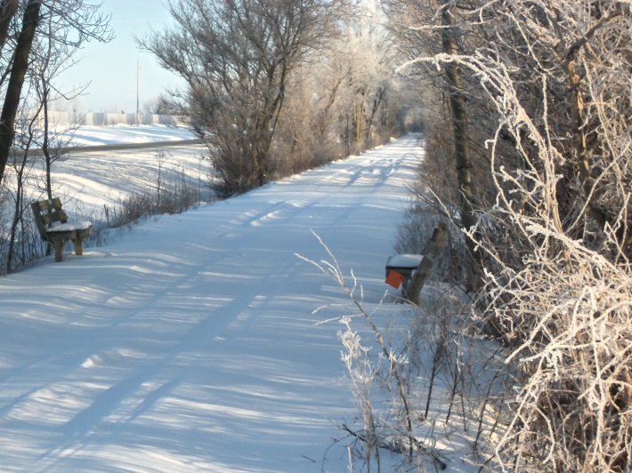 Snowmobile Trail