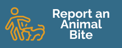 animal bite